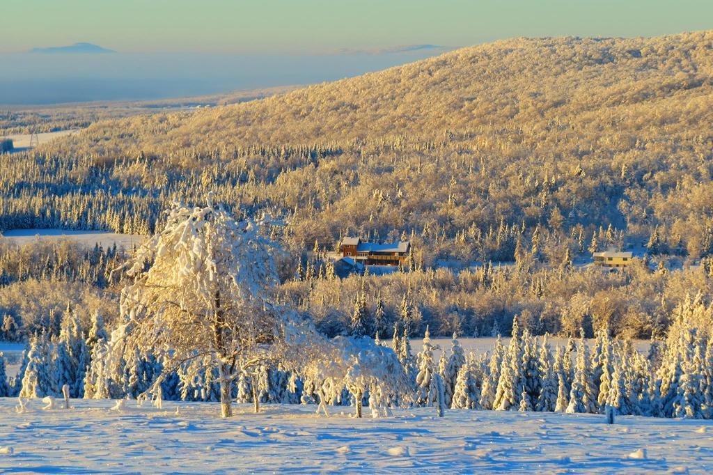 Le Gite Ambrelane Thetford Mines Exterior foto