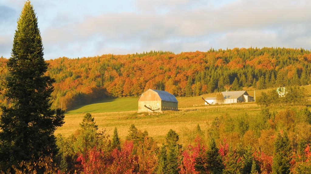 Le Gite Ambrelane Thetford Mines Exterior foto